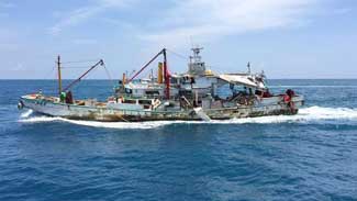 Oysters and clams can be farmed together